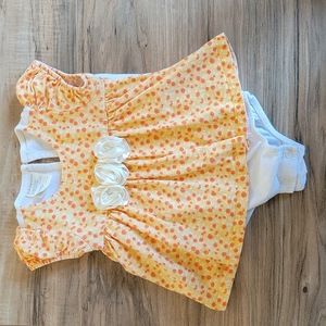 🎉 3 for $6 each when you bundle